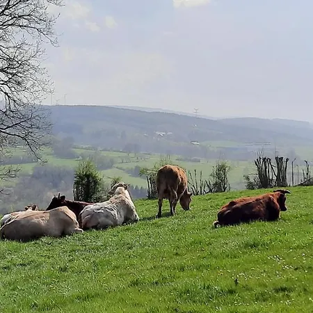 Beau Site 3* Trois-Ponts