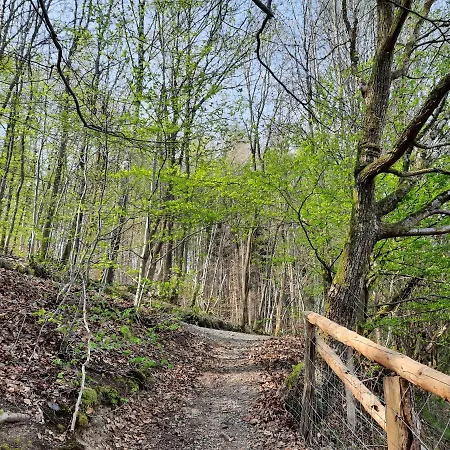 Beau Site Trois-Ponts